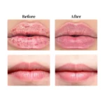 Wholesale Bulk Safe Natural Ingredients Plumping Smoothing Lip Gloss Fruit Flavors Long Lasting oem Beeswax Plumping Lipstick